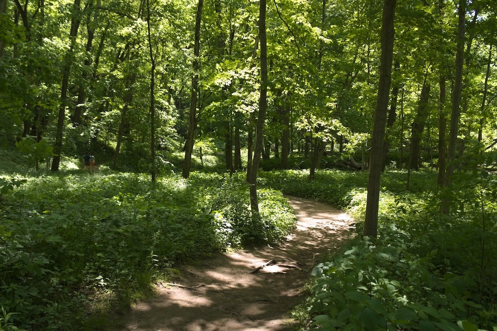 Hiking Trail at Maquoketa Caves State Park