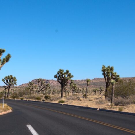 7 Day Death Valley and Joshua Tree Itinerary From Las Vegas