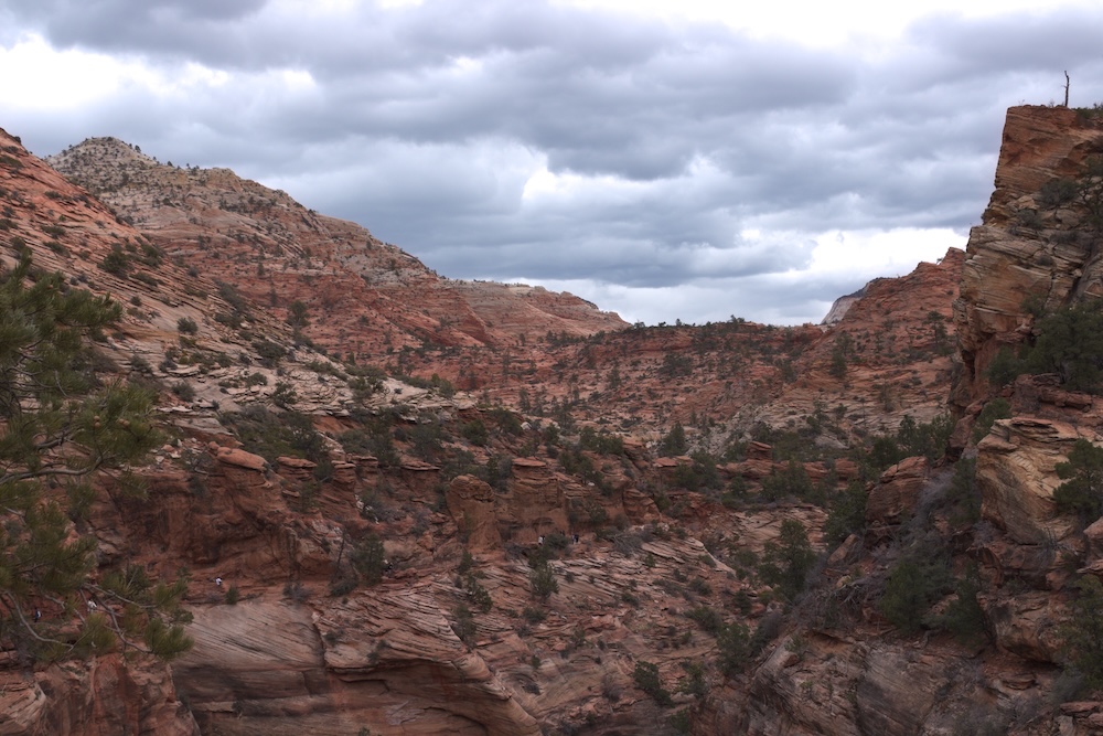 Scenery along the Canyon Overlook Trail