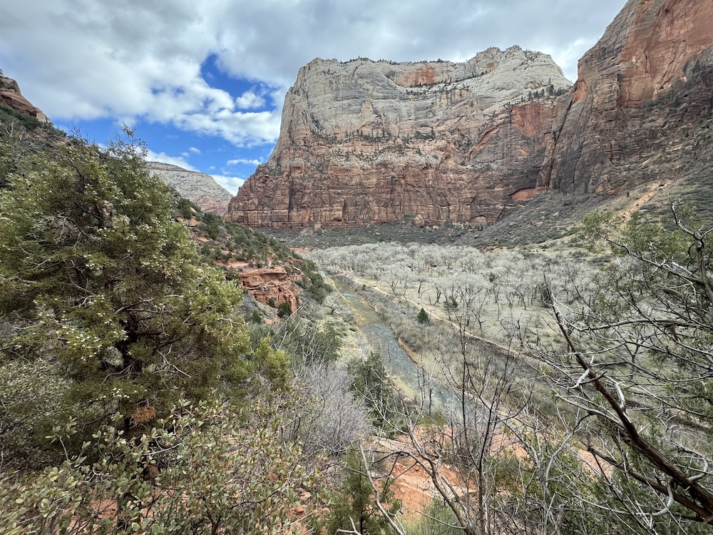 View from the Emerald Pools Trail at Zion National Park