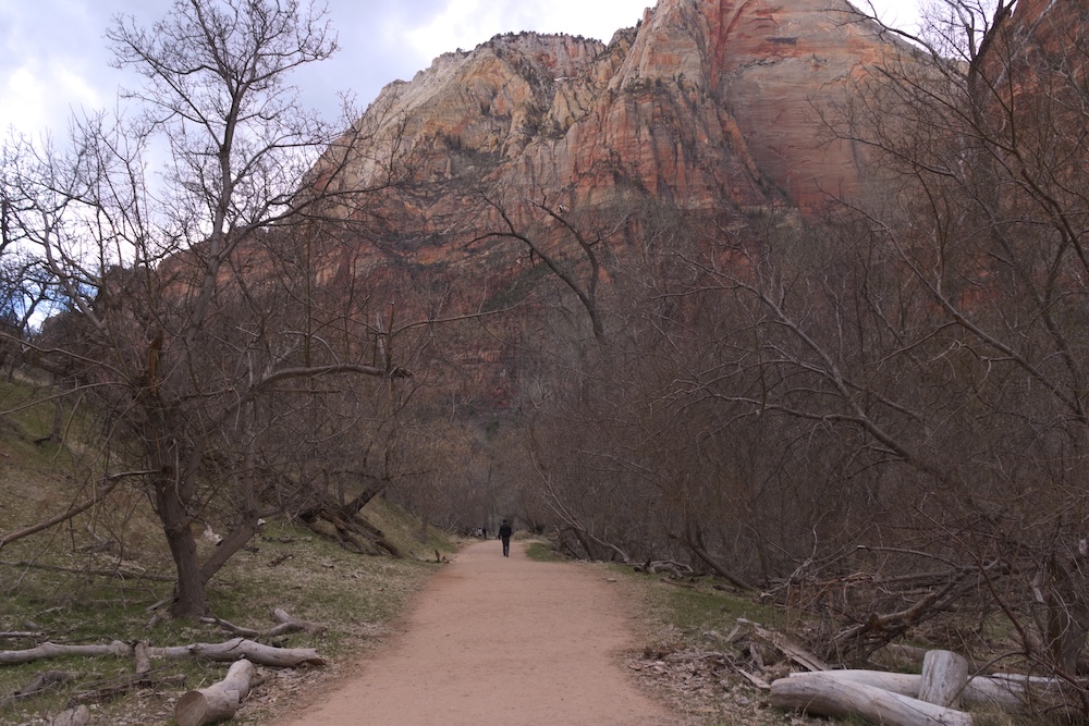 The Grotto Trail at Zion National Park