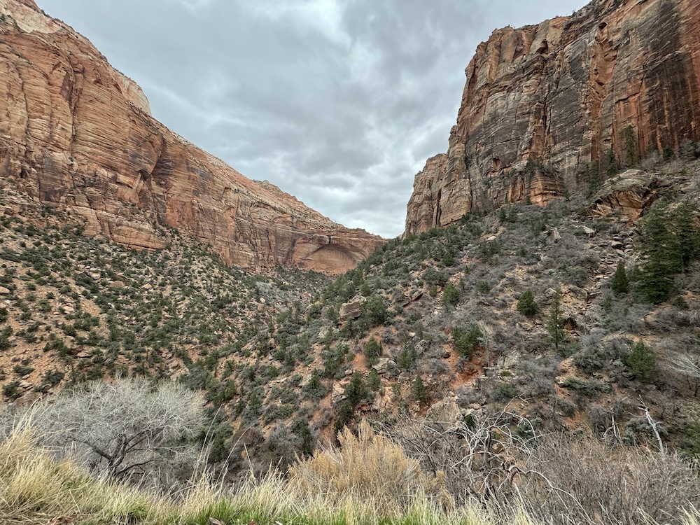 Scenic Overlook at Zion National Park