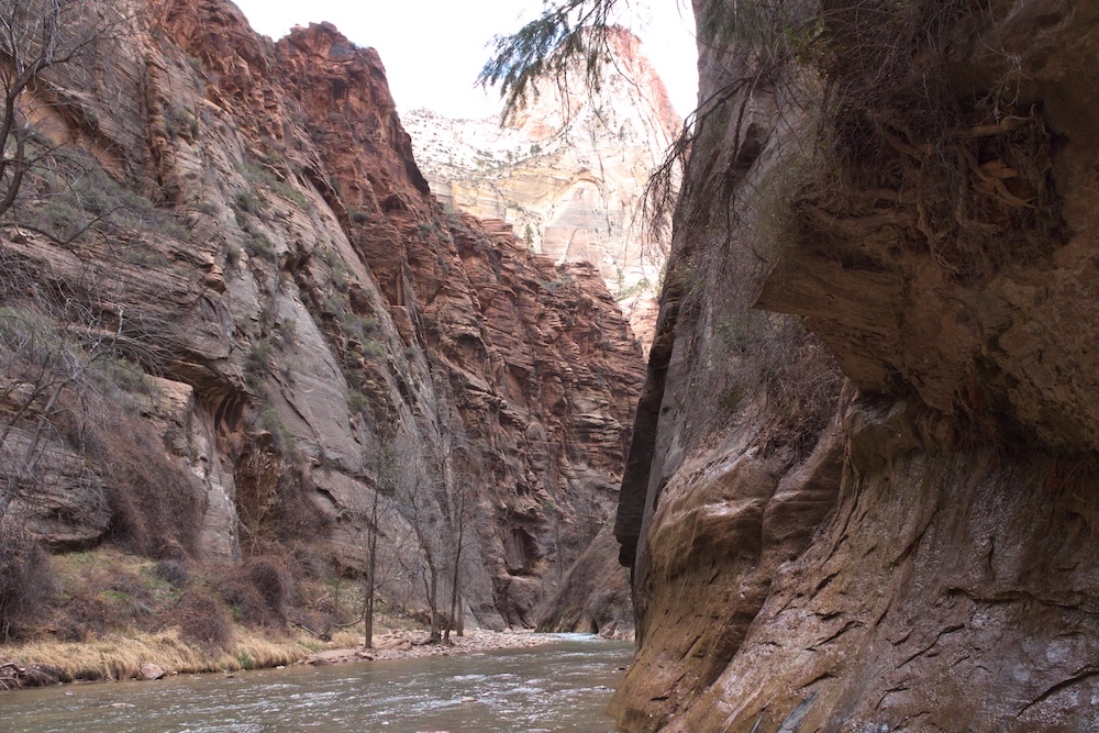 The Narrows at Zion National Park