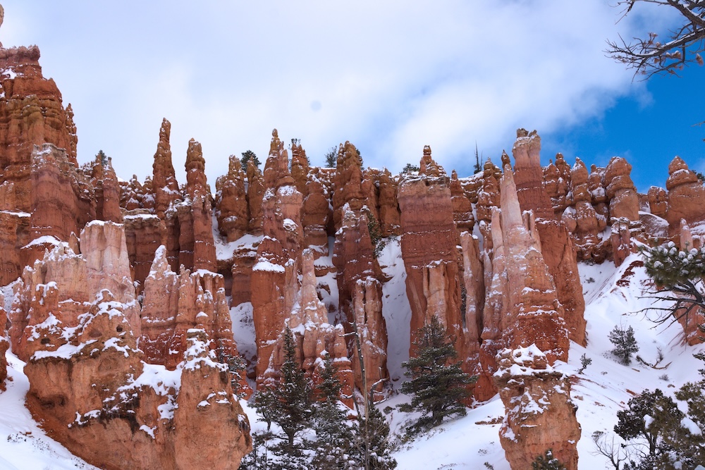 Hoodoos at Bryce Canyon