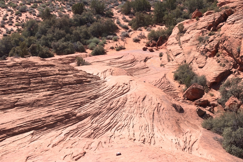 Petrified Dunes at Snow Canyon State Park