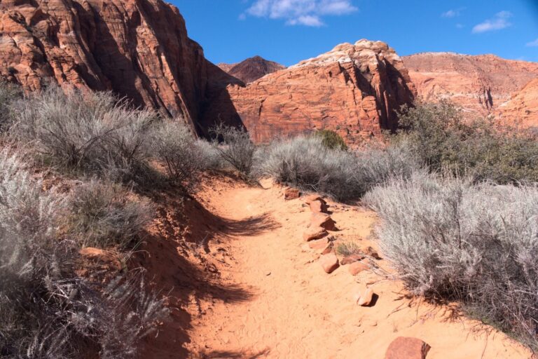 Hiking Trail at Snow Canyon State Park