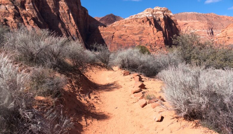 Hiking Trail at Snow Canyon State Park