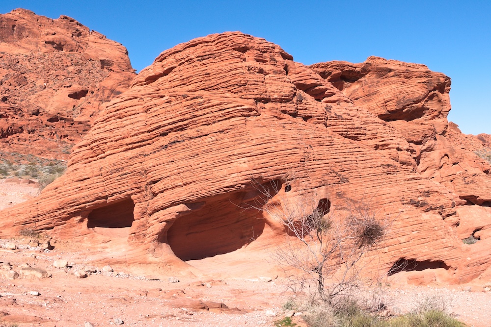 Beehives at Valley of Fire State Park