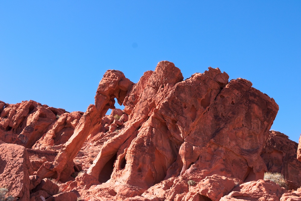 Elephant Rock at Valley of Fire State Park