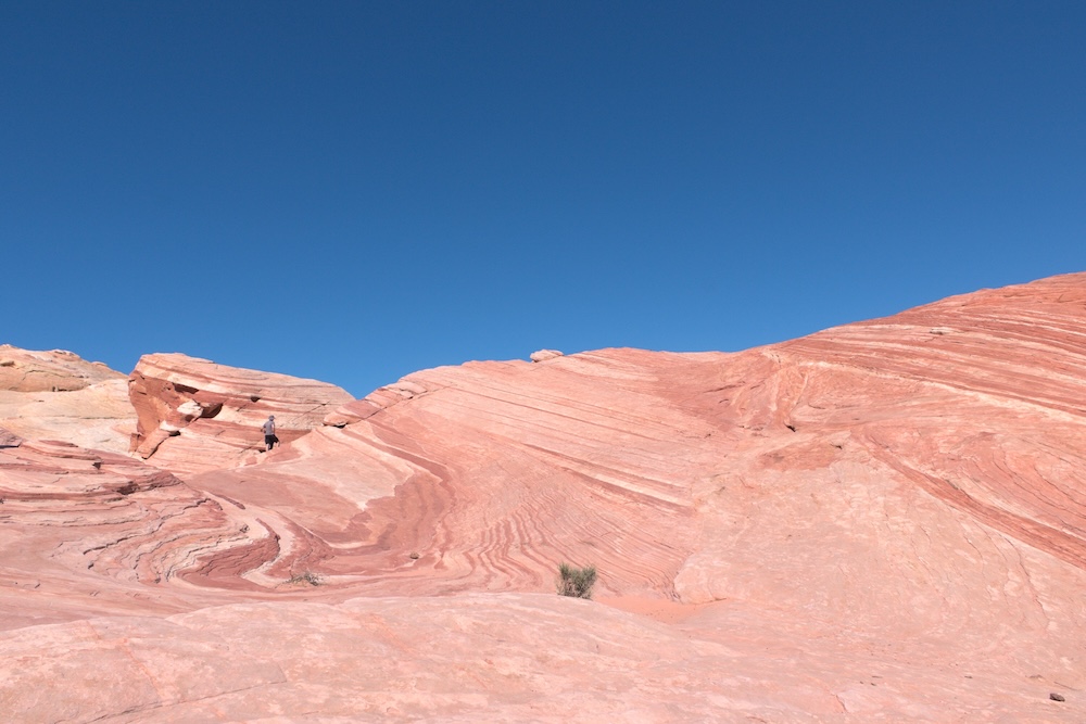 Fire Wave Trail at Valley of Fire State Park