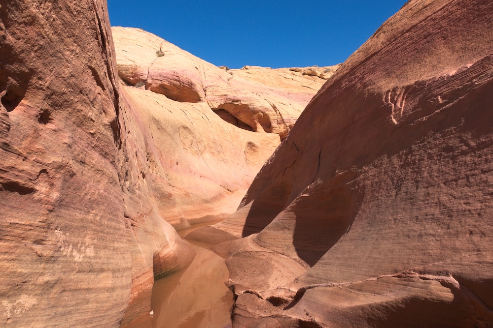 Pink Canyon at Valley of Fire State Park