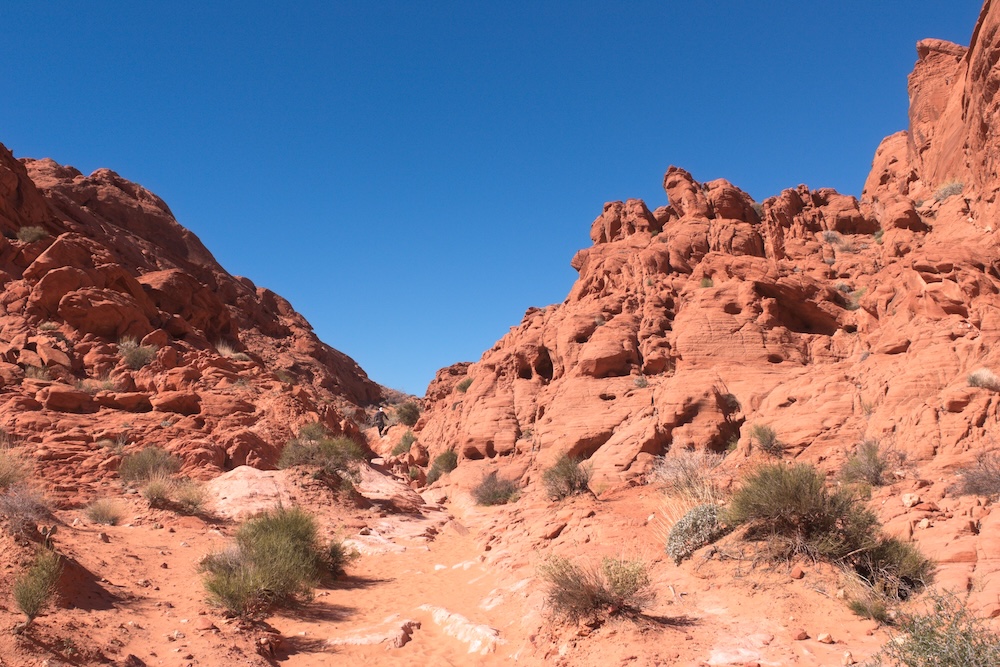 Rainbow Vista Trail at Valley of Fire State Park