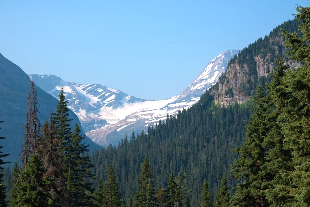 Jackson Glacier Overlook