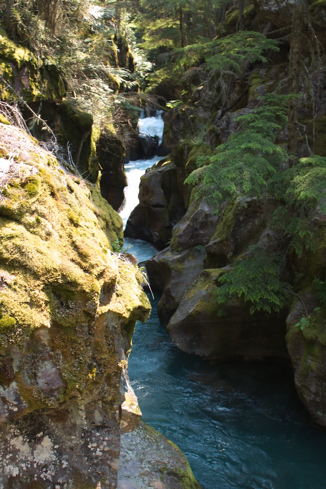 Waterfall on Trail of the Cedars