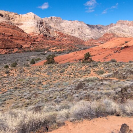 Zion and Bryce Canyon Itinerary – A Great Long Weekend in Utah