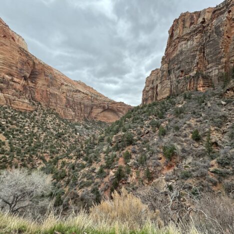 4 Unique Things to See at Snow Canyon State Park