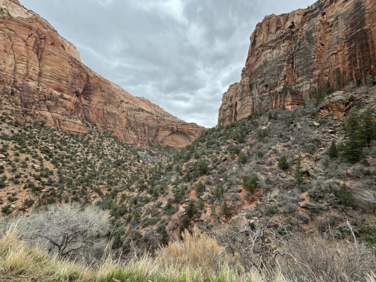 Overlook at Zion National Park