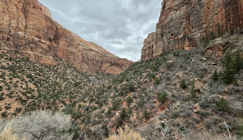 Overlook at Zion National Park