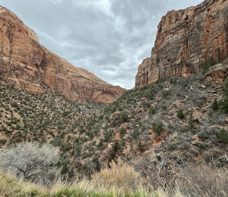 Overlook at Zion National Park