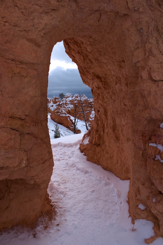 Inside Bryce Canyon