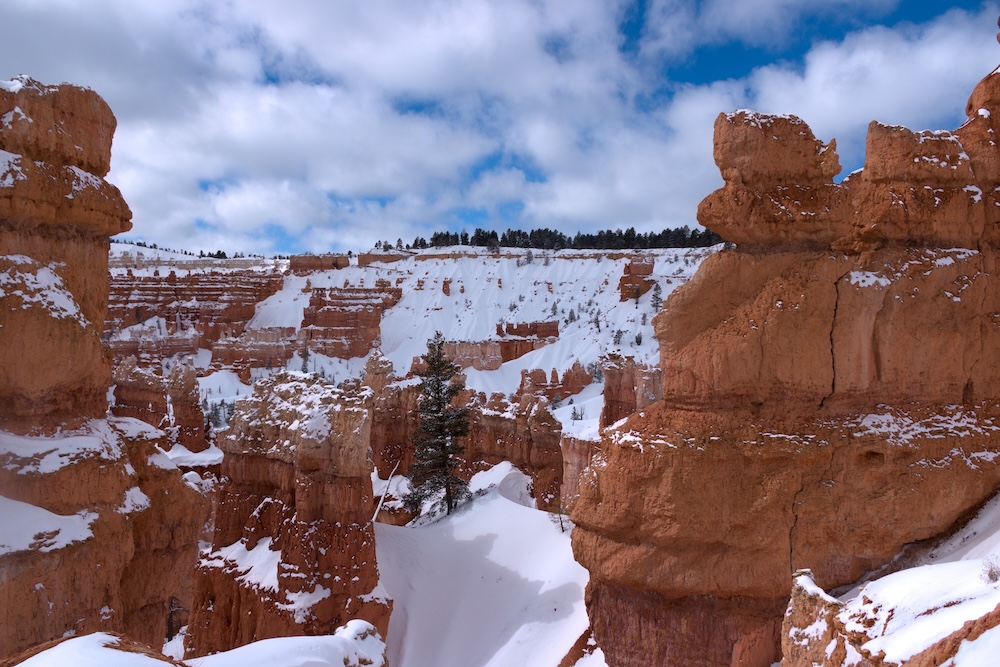 Inside Bryce Canyon