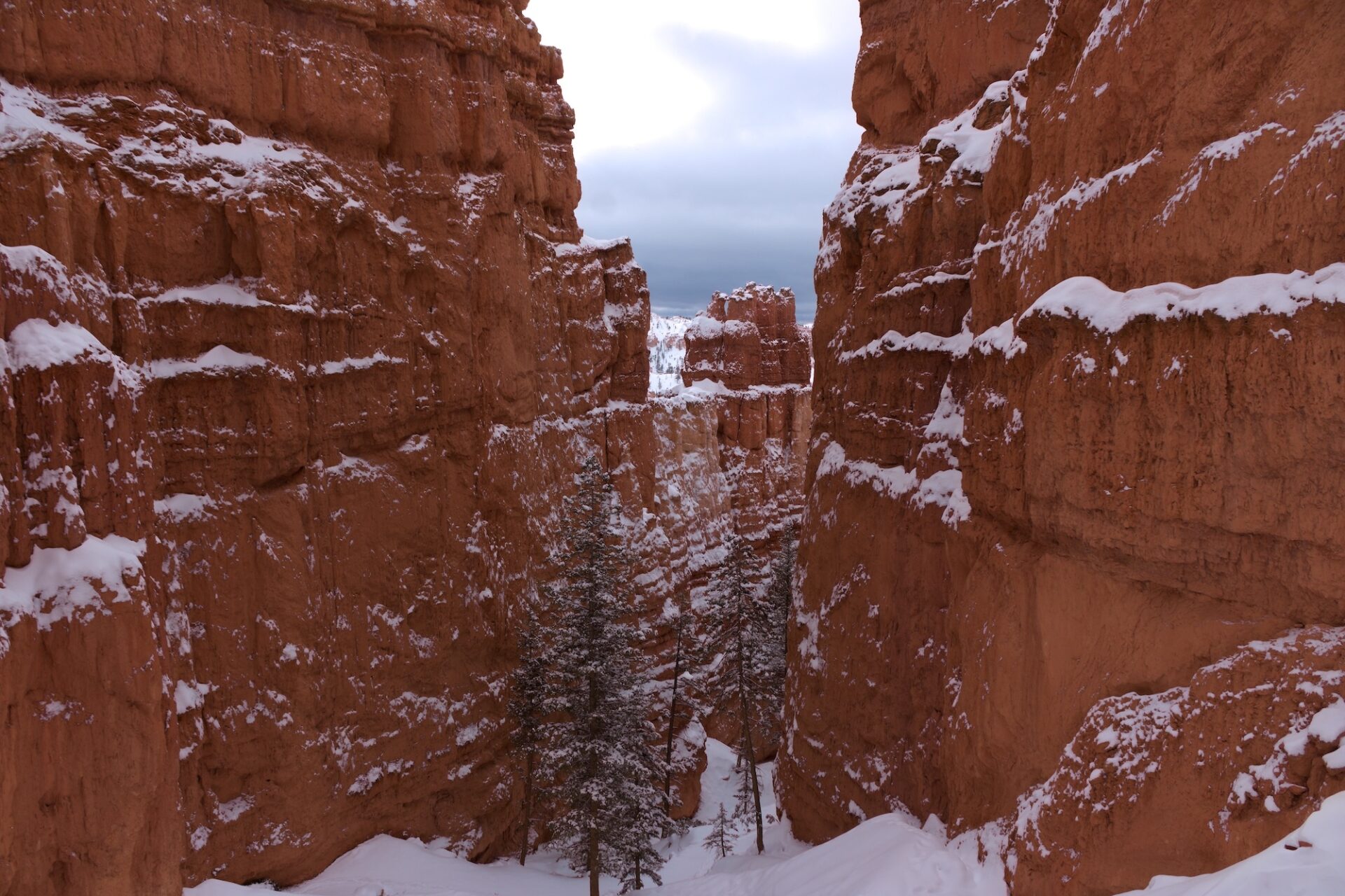 What to Expect on a Bryce Canyon Winter Hike