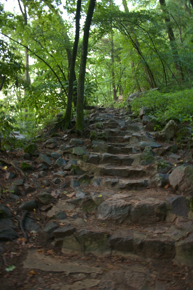 Stairs on the Western Bluffs at Devil's Lake State Park