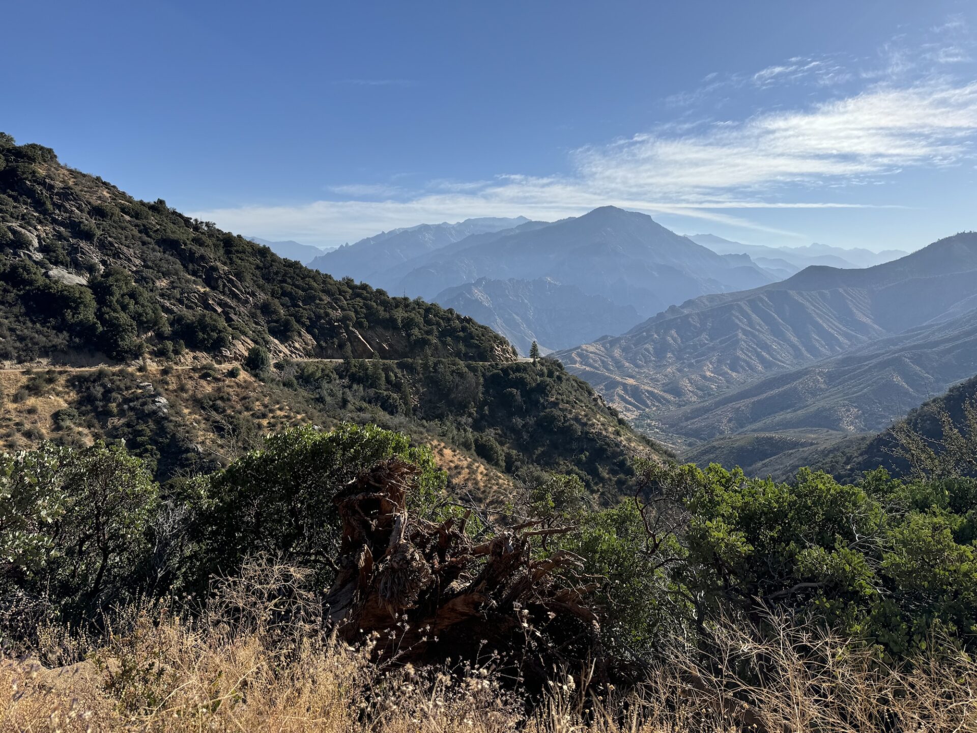 Top 5 Things to Do at Kings Canyon National Park