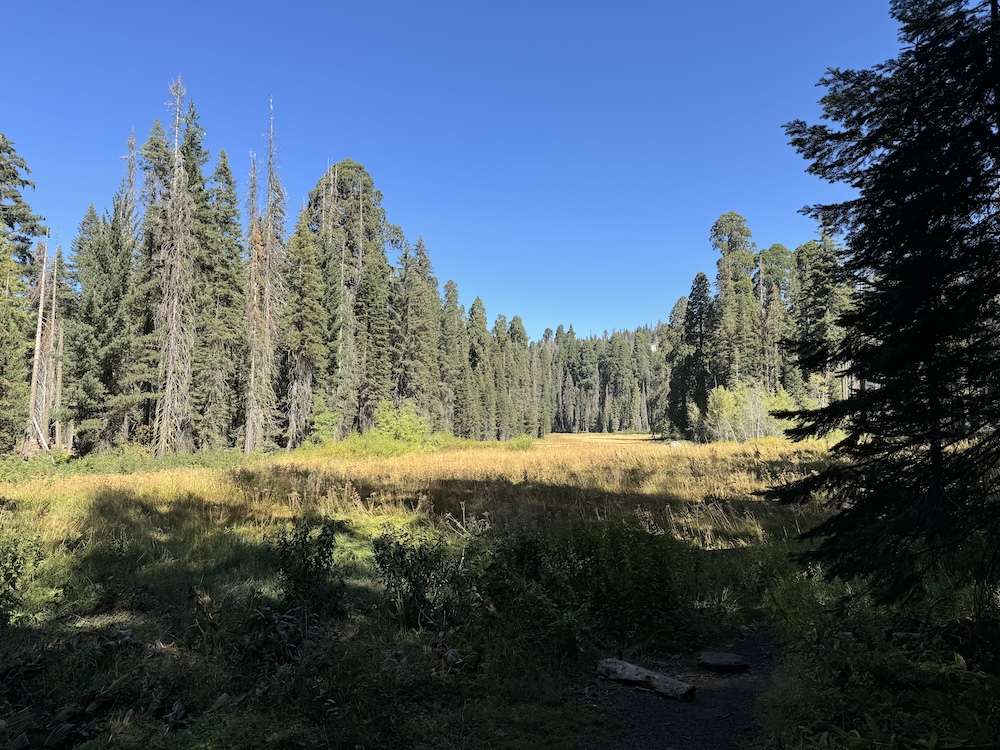 Crescent Meadow at Sequoia National Park