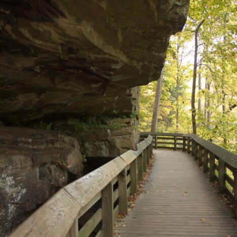 The 7 Best Hikes at Indiana Dunes