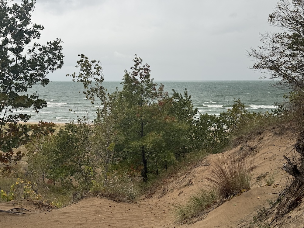 Lake Michigan as seen from the Cowles Bog Trail at Indiana Dunes