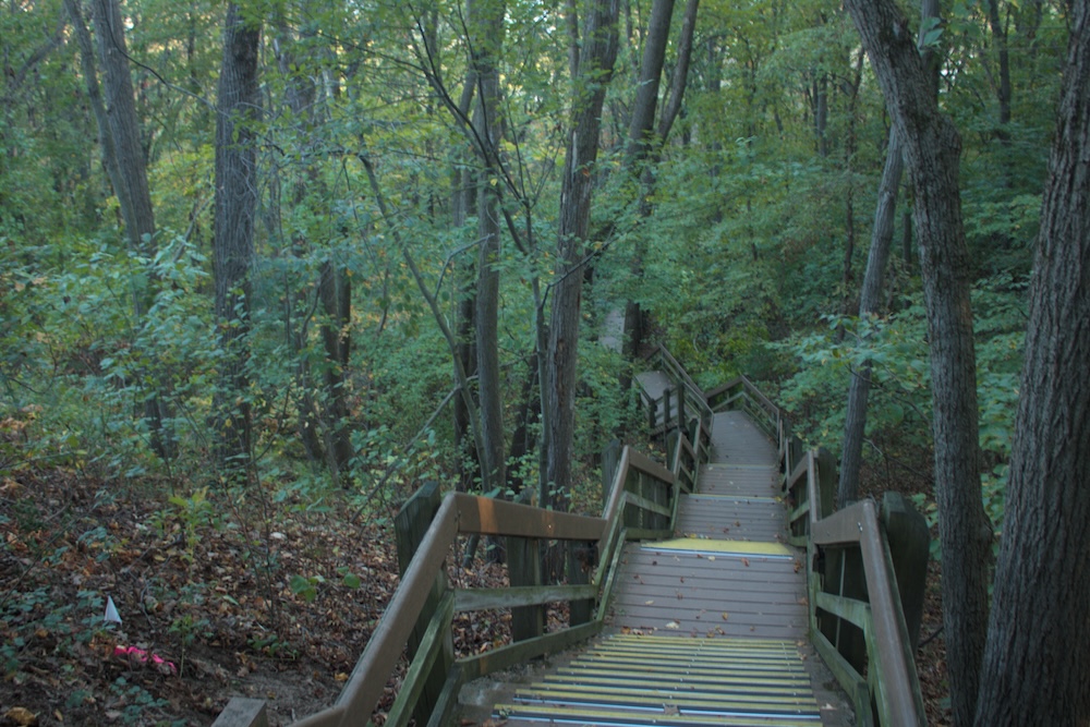 Trail through the forest on the Dune Succession Trail at Indiana Dunes