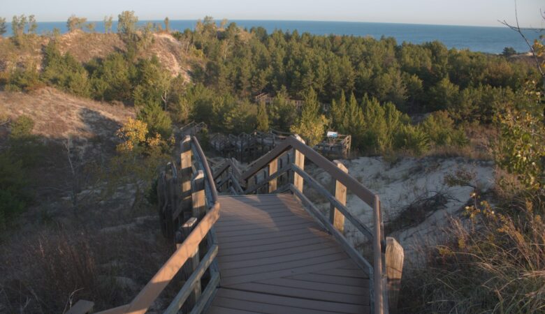 Trail at Diana's Dare at Indiana Dunes National Park