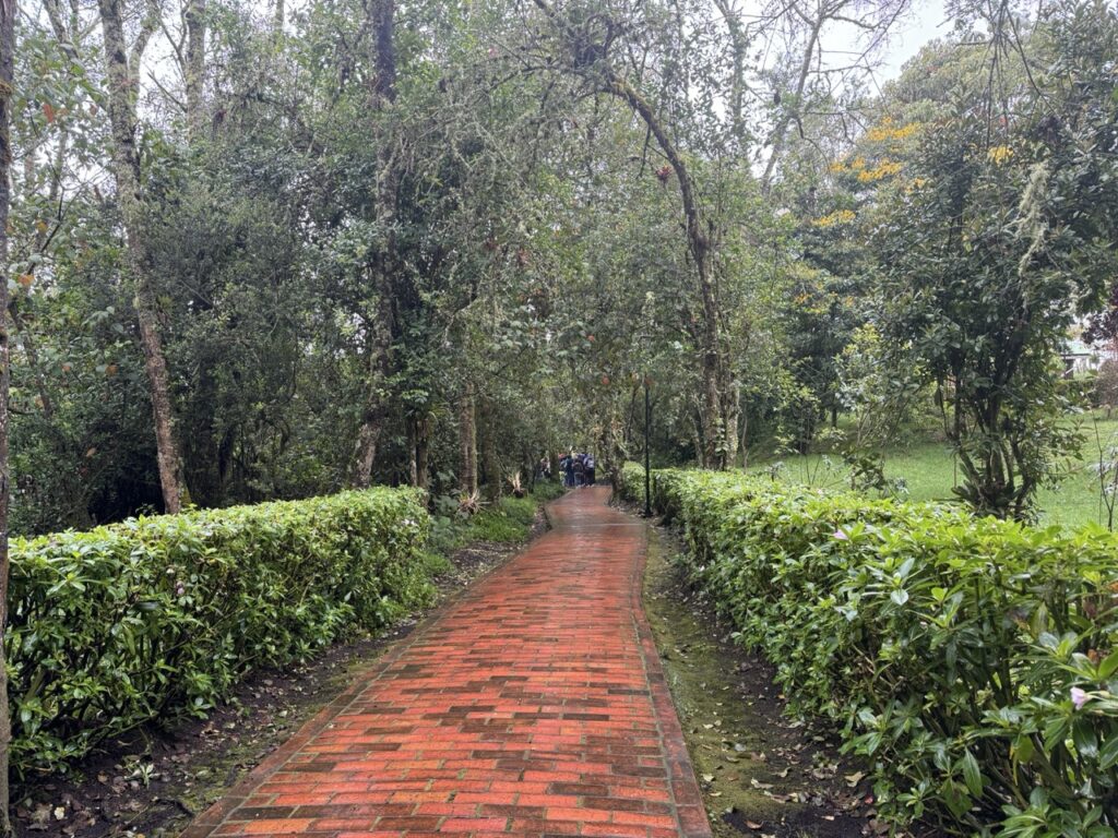 Pathway at Guatavita Ecological Park