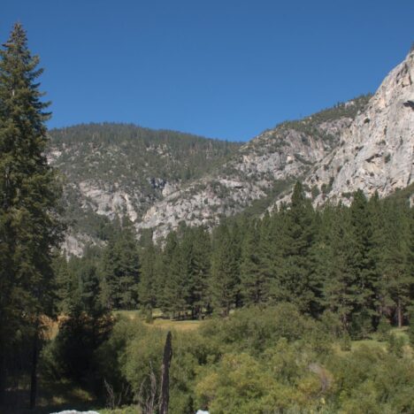 How to Spend One Day in Sequoia National Park