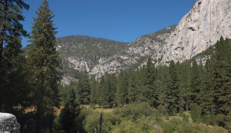 View from Zumwalt Meadows at Kings Canyon National Park