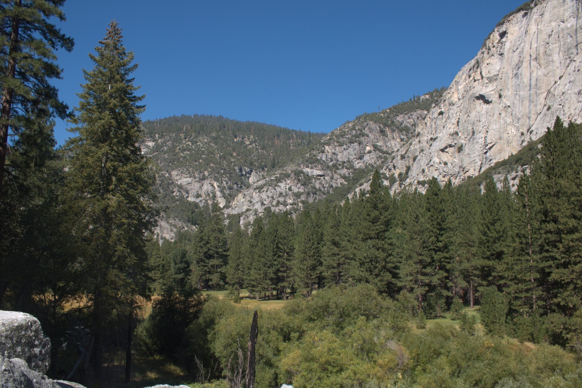 How to Spend One Day in Kings Canyon National Park