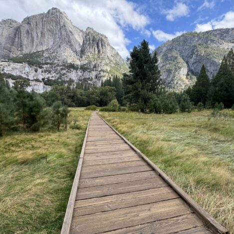 How to Spend One Day in Sequoia National Park