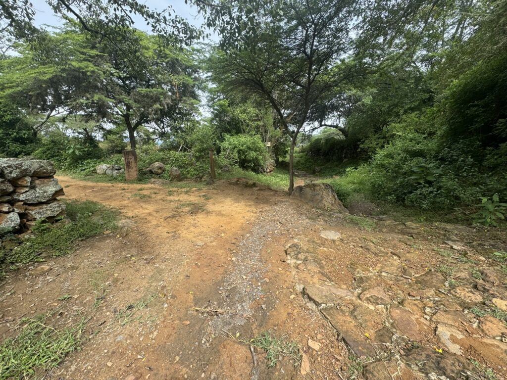 Flat, even trail on the Camino Real