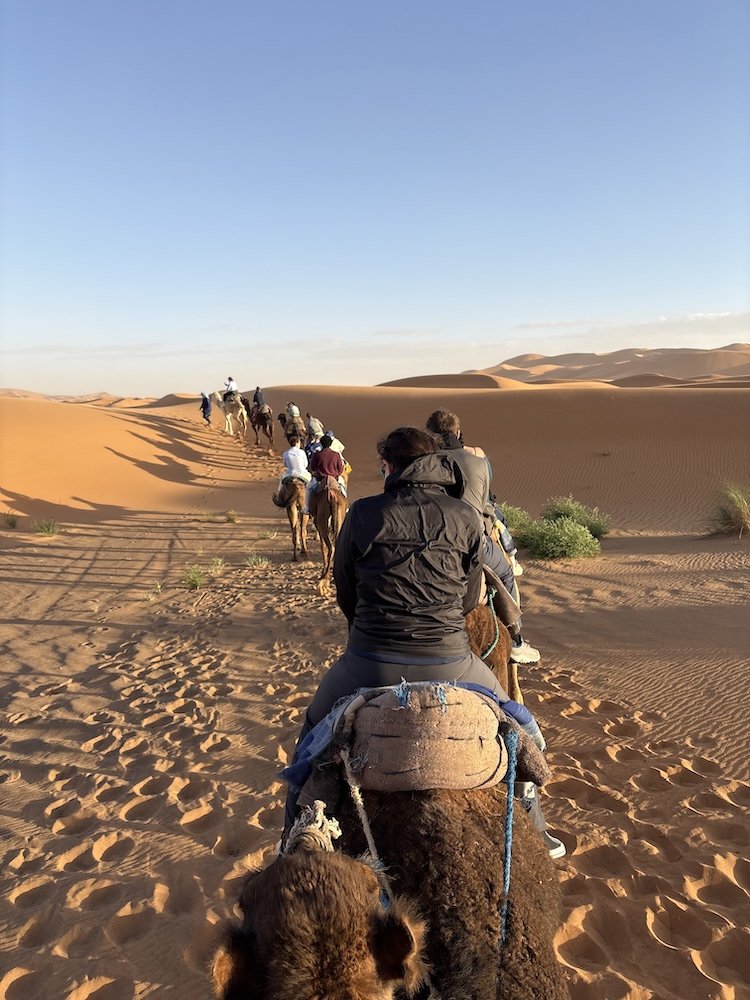 Riding camels in the Sahara Desert