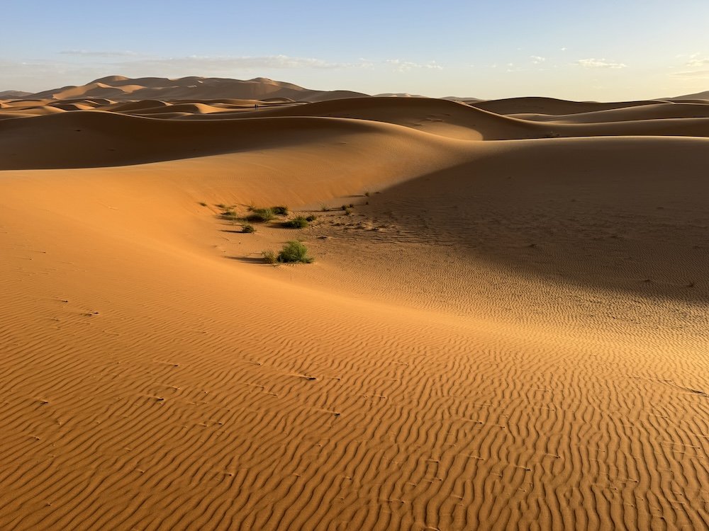 Sand Dunes of the Sahara Desert