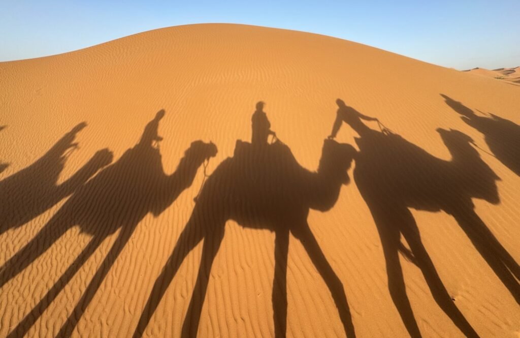 Shadows from camels on the sand dunes of the Sahara Desert