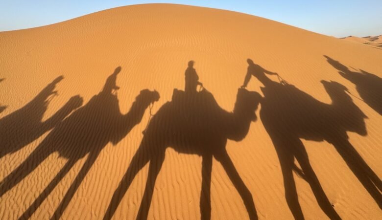 Shadows from camels on the sand dunes of the Sahara Desert