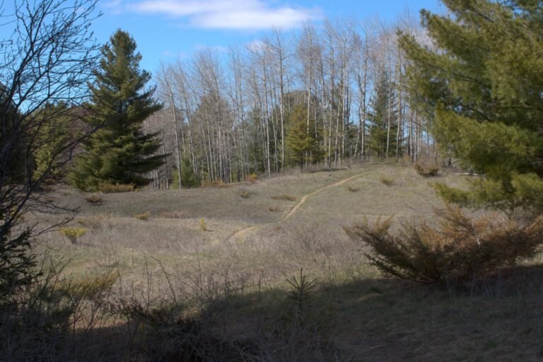 Trail at Sturgeon Bay Ship Canal Nature Preserve