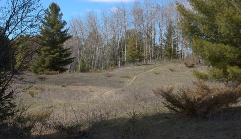 Trail at Sturgeon Bay Ship Canal Nature Preserve