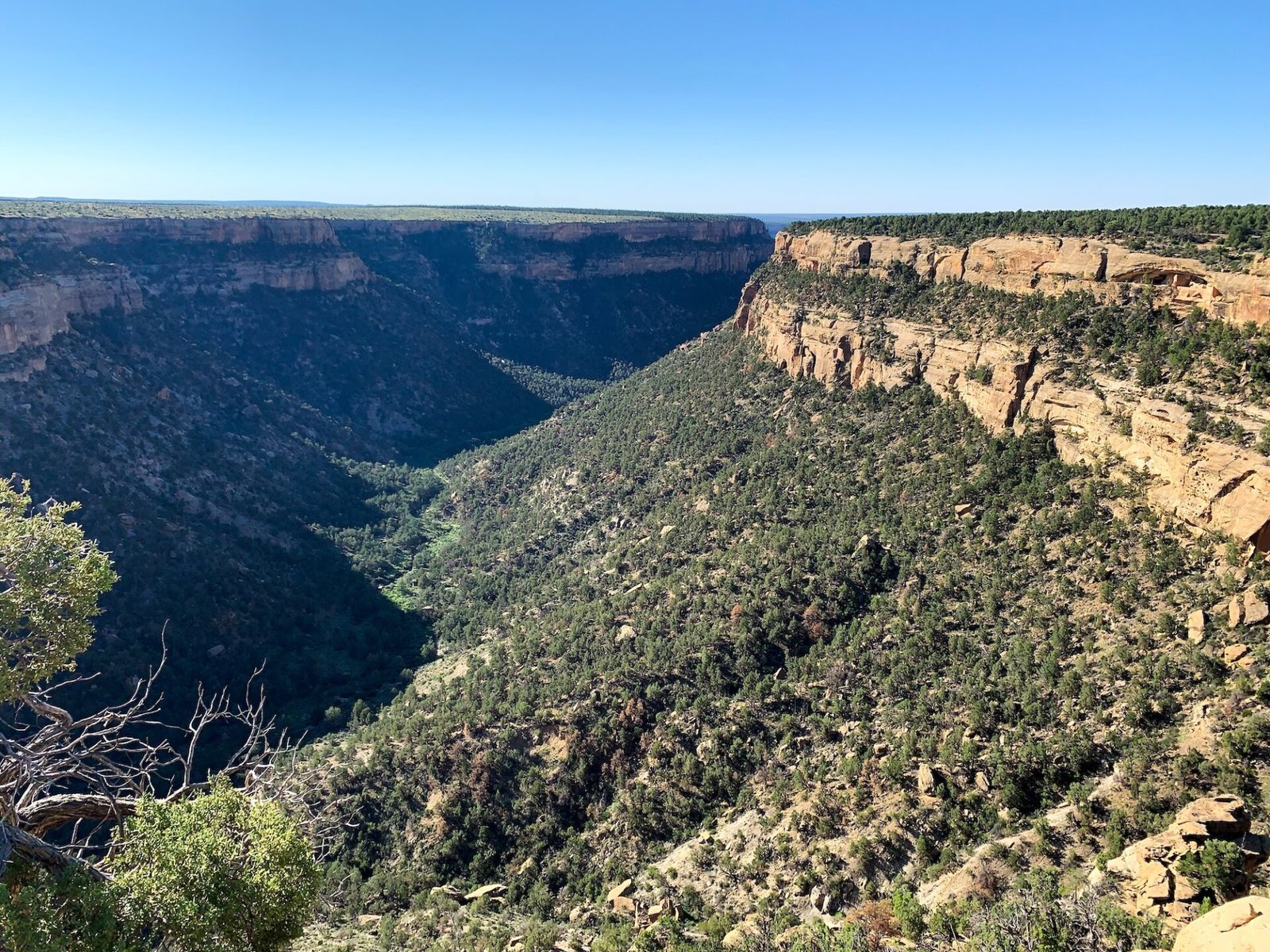How to Spend One Day at Mesa Verde National Park