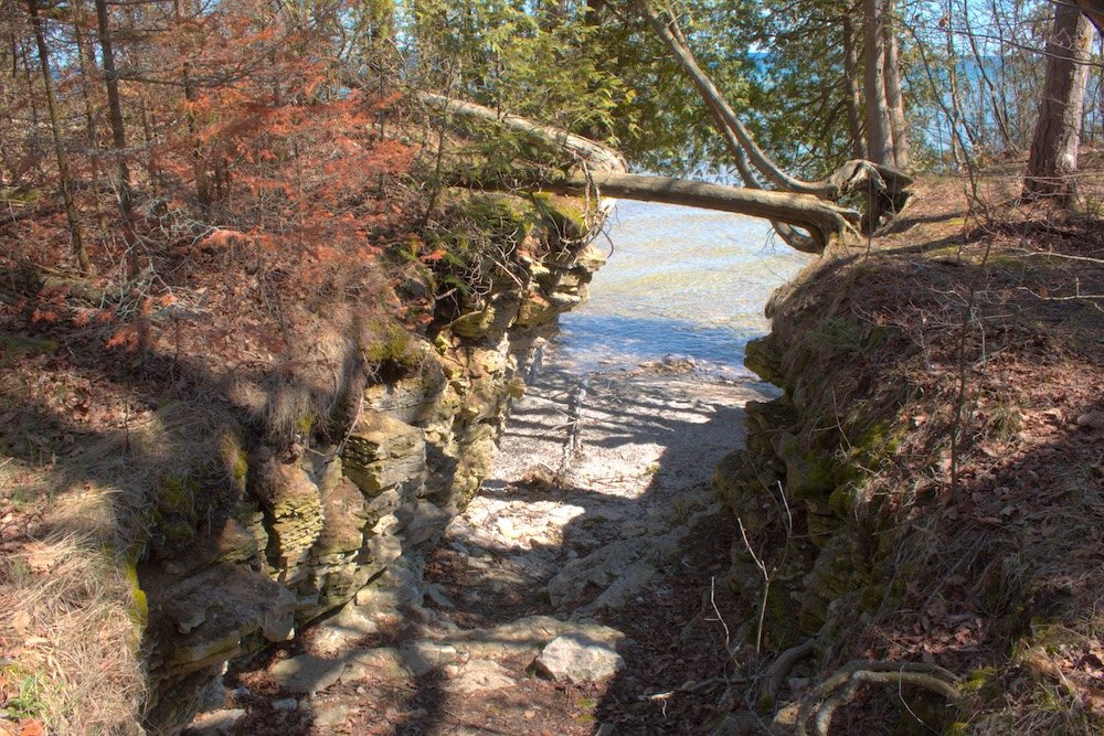 Along the Hotz Trail at Newport State Park