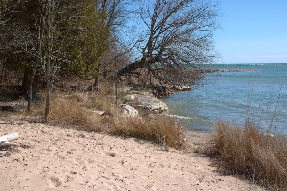 On the Newport Loop Trail