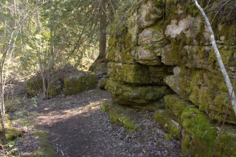 Lynd Point Trail at Newport State Park