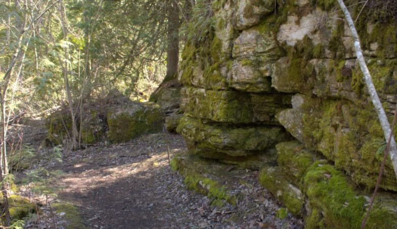 Lynd Point Trail at Newport State Park